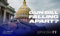 Capitol Report (June 17): Bipartisan Gun Bill Meets Resistance; Fundamental Causes of Economic Downturn