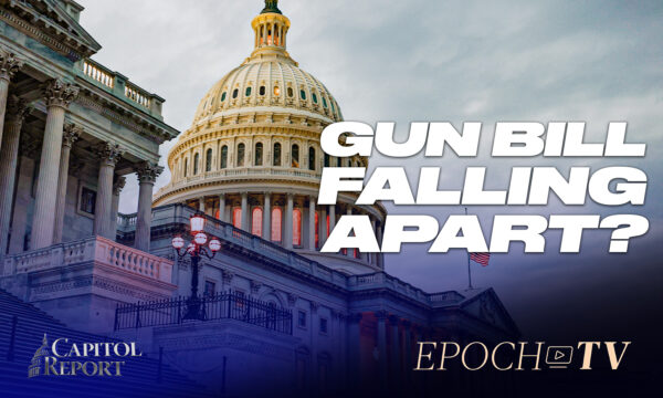 Capitol Report (June 17): Bipartisan Gun Bill Meets Resistance; Fundamental Causes of Economic Downturn