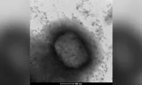 South Korea Confirms First Monkeypox Case, Infections Numbers From Around The World
