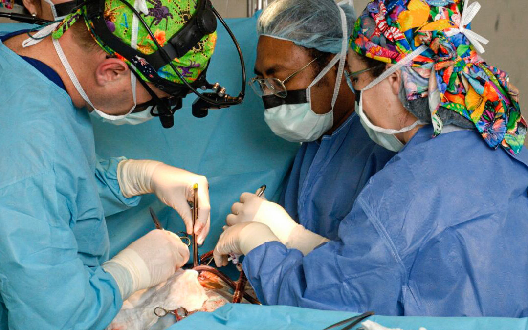 Australian and Papua New Guinean heart surgeons and specialists at work during a heart operation at Port Moresby General Hospital, Port Moresby, Tuesday, Aug. 14, 2007. (AAP Image/Rocky Roe)