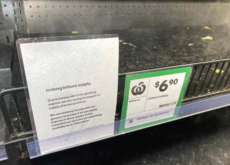 An empty lettuce shelf is seen at Camp Hill Woolworths Supermarket in Brisbane, Wednesday, June 8, 2022. Australia is facing a lettuce shortage causing a lack of stock and high prices after heavy flooding across the east coast wiped out much of the lettuce crop earlier in the year. (AAP Image/Darren England)