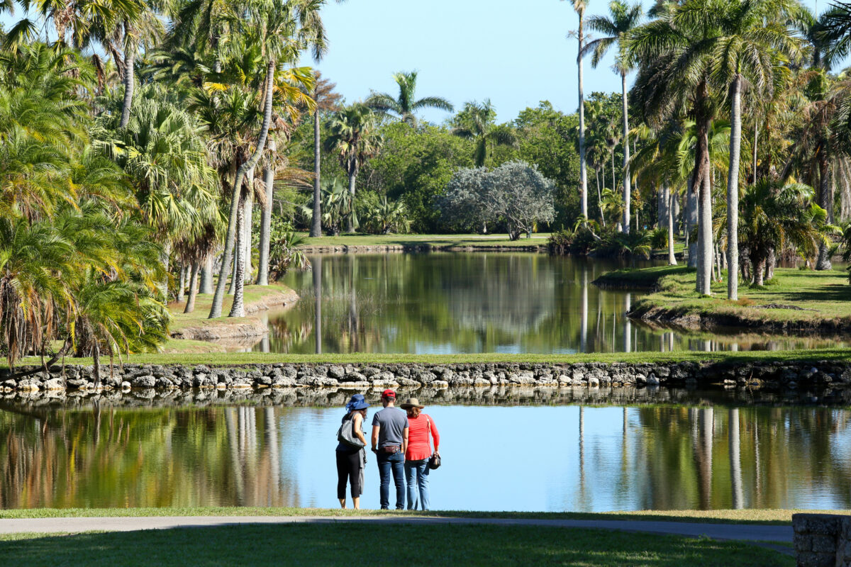 A view of Fairchild Tropical Botanical Gardens in Miami. Travel guide voters recently selected Fairchild as the best botanical garden in North America. (Jillian Cain/Dreamstime/TNS)