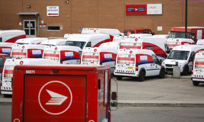 Delivery vehicles are seen at Canada Post's main plant in Calgary in a file photo. (The Canadian Press/Jeff McIntosh)