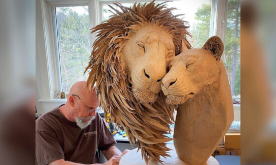 Artists Sculpt Old Cardboard Boxes to Make Stunningly Realistic Life-Size Lion Portraits in Loving Embrace
