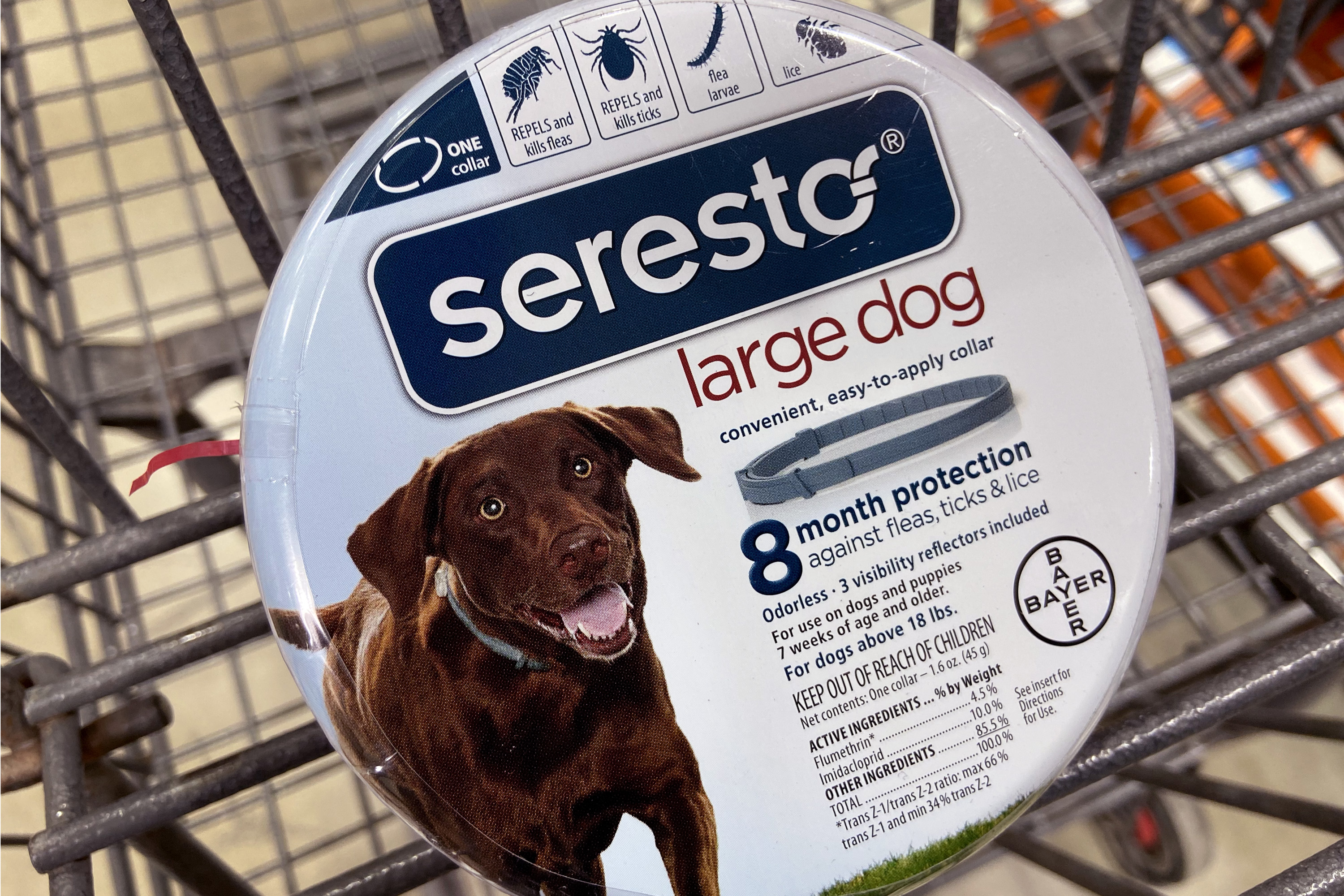 Study Finds 2,500 Pets Died From EPA-Approved Flea Collars, With Almost 100,000 Incidents - Vimarsana News