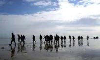 UK Home Office Criticised Over ‘Ineffective’ Response to Channel-Crossing Immigrants