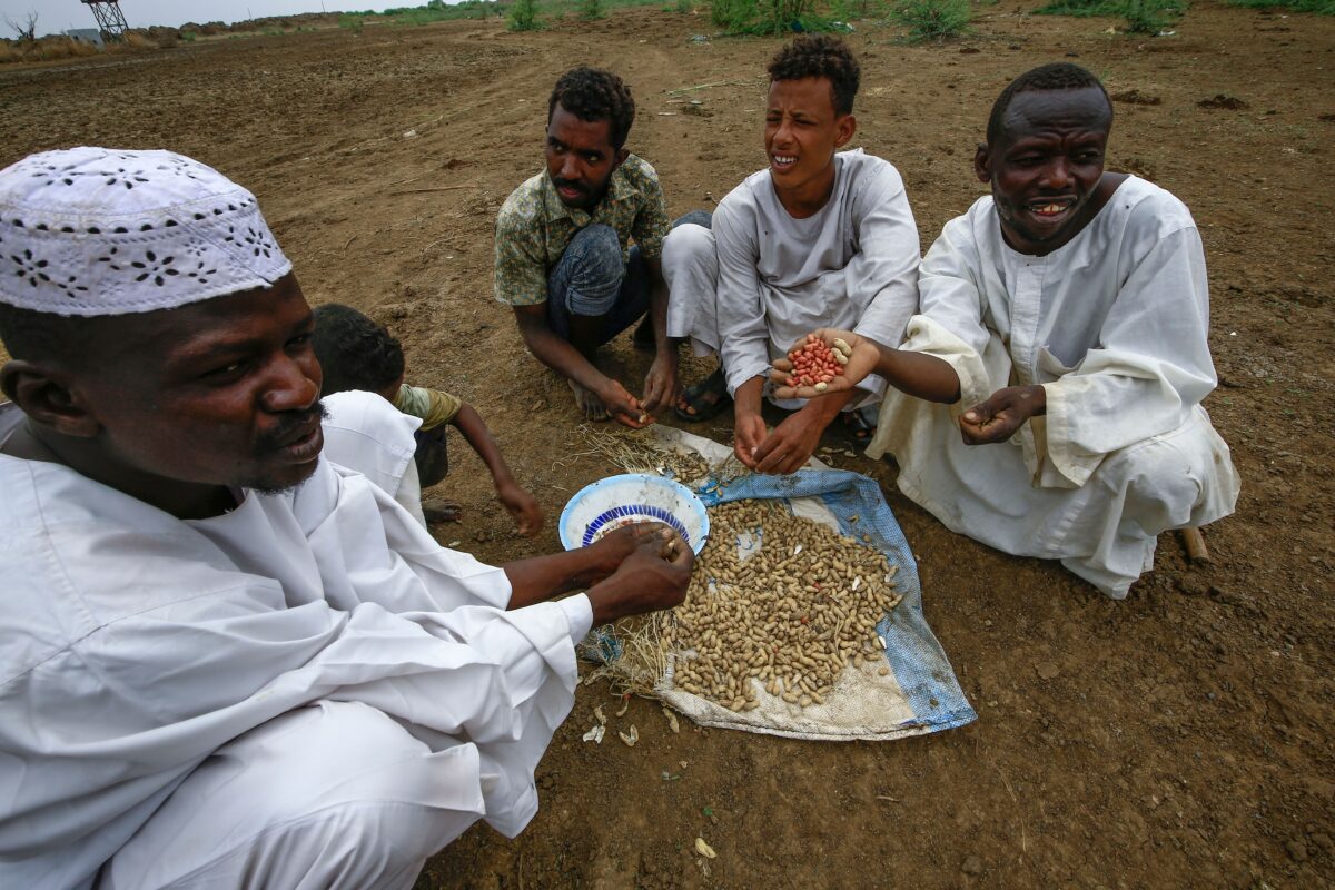 SUDAN-AGRICULTURE-ECONOMY