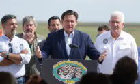 Everglades Ecologist Rises to DeSantis’ Python Challenge