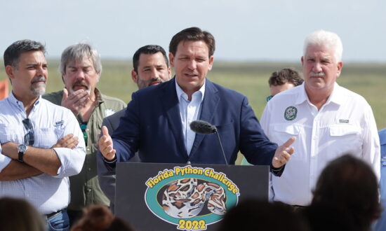 DeSantis Activates National Guard