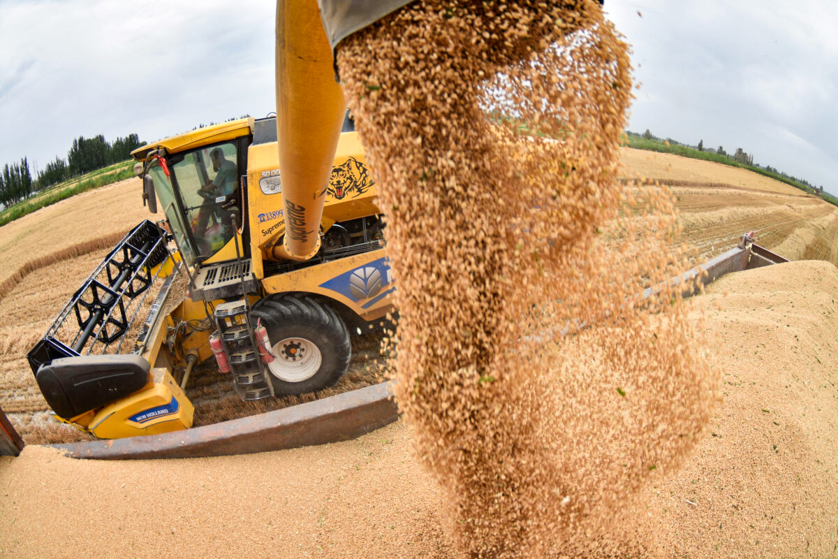 China's Theft of US Agriculture Tech Secrets is 'Enormous' National Security Threat: Analyst - Vimarsana News