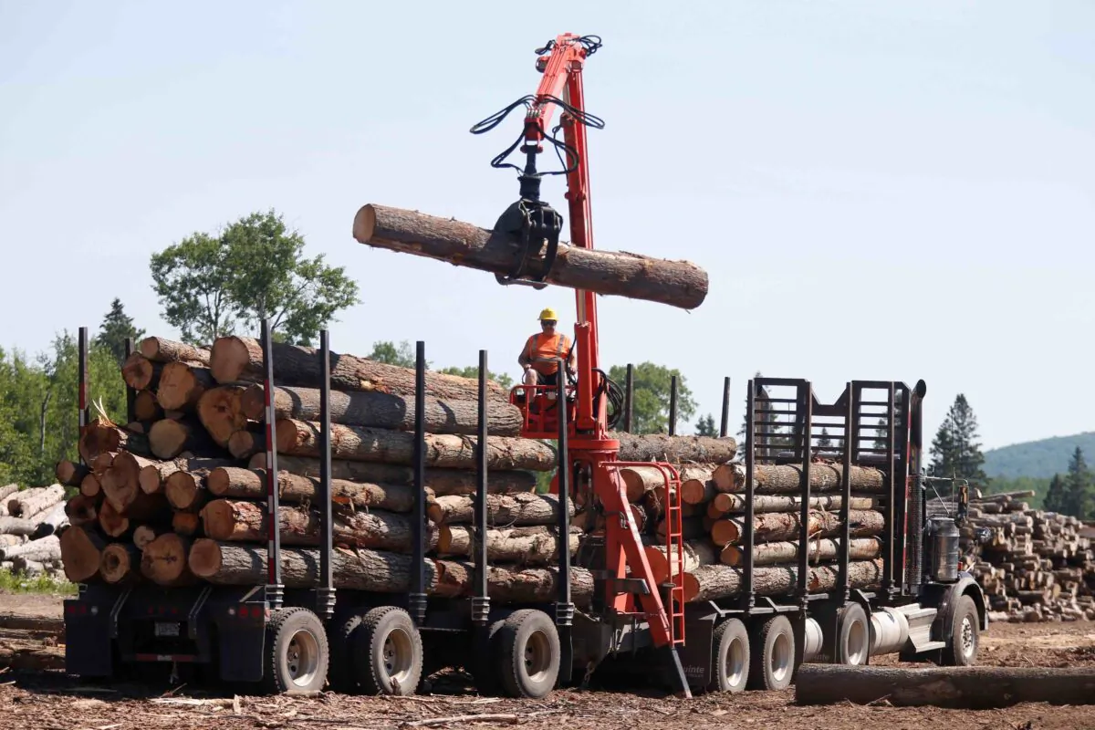 A worker unloads logs at the Murray Brothers Lumber Company in Madawaska, Ontario, Canada, July 4, 2018. (Reuters/Chris Wattie)