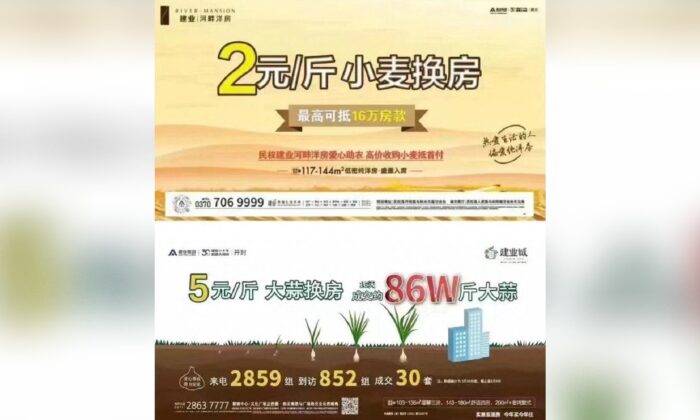 Screenshot of an advertisement from Central China Real Estate offering to let buyers use garlic crops to make their downpayment on a property. (Reuters)