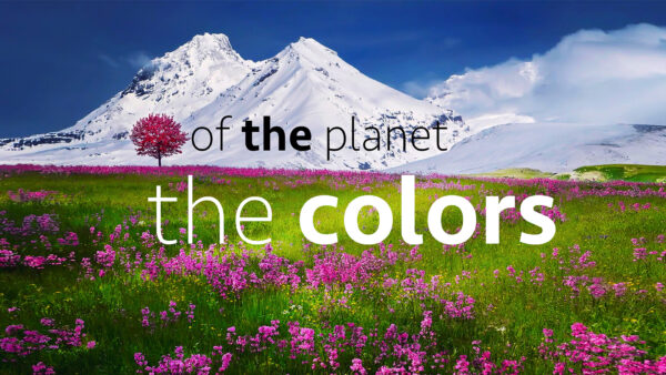 The Colors of the Planet | Documentary