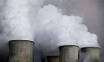 Russia May Cut Off Gas Completely, Europe Must Act Now: IEA