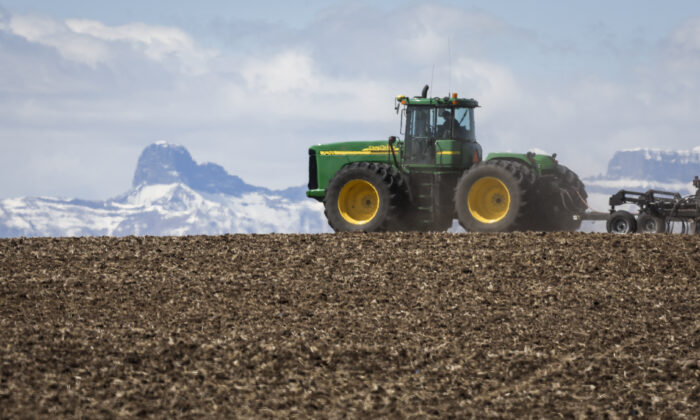 A farmer drives a wheat planting rig, with the Rocky Mountains as a backdrop, near Cremona, Alta., on May 6, 2022. Canada is the world's sixth-largest producer and one of the largest exporters of wheat, one of the crops currently affected by international export restrictions. (The Canadian Press/Jeff McIntosh)