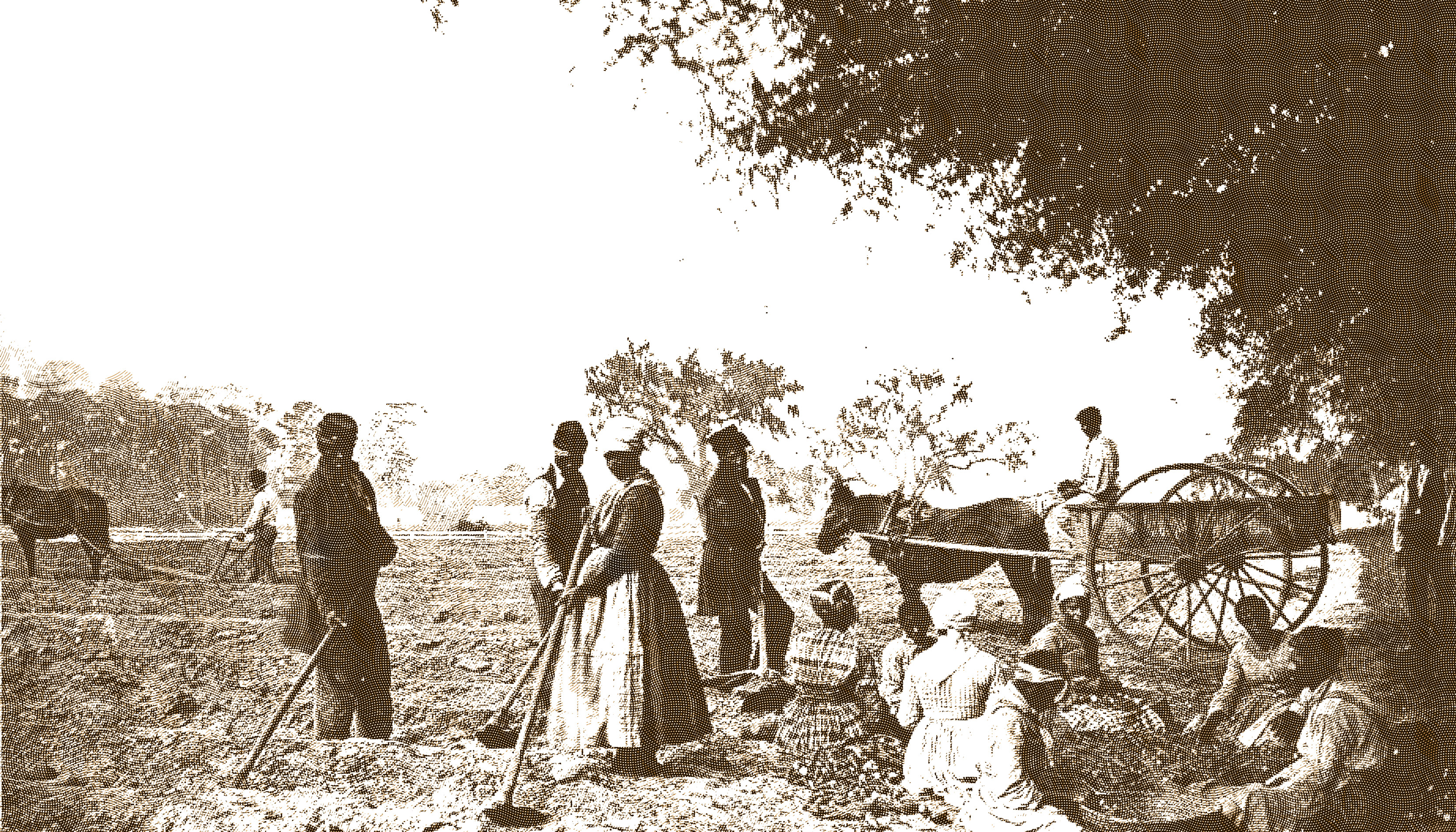 Why the Founders Couldn’t Abolish Slavery