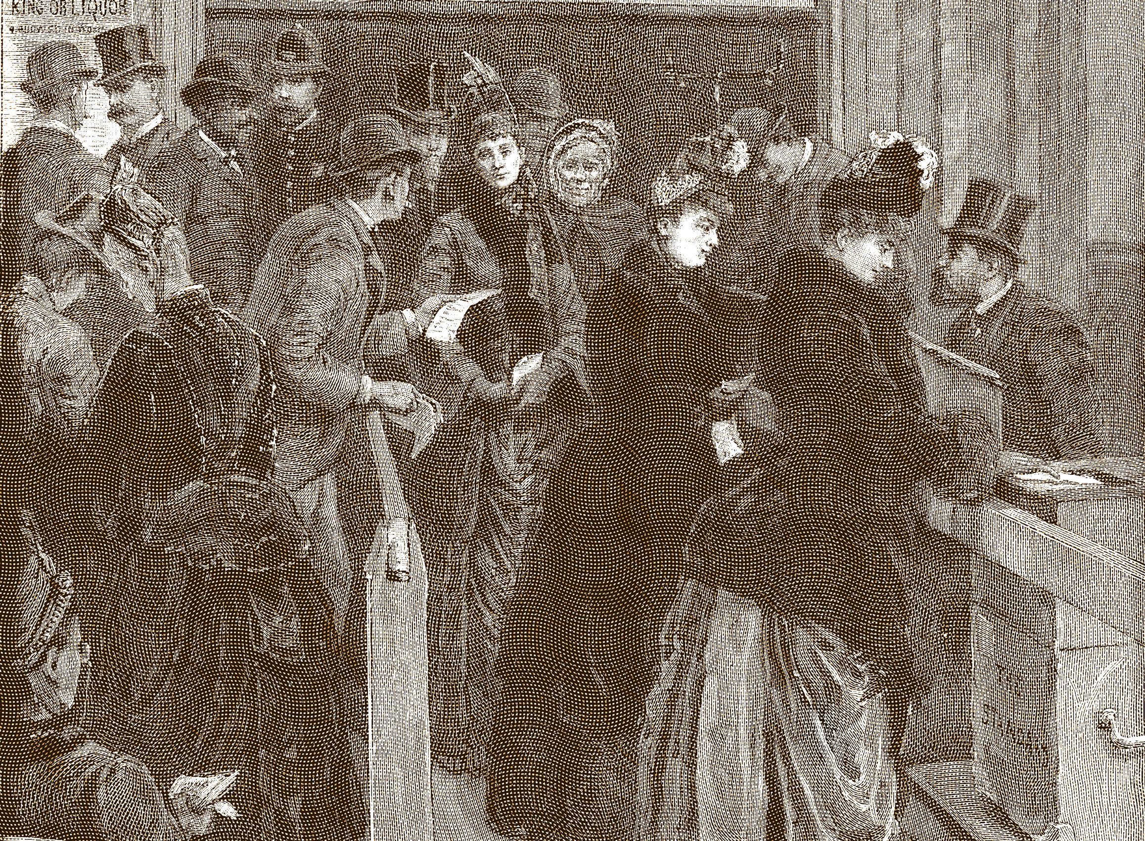 The Constitution and Gender Equality