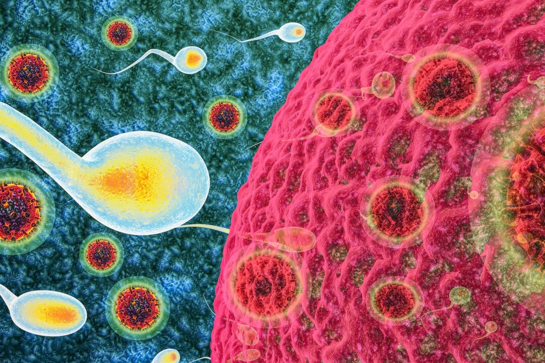 Can the COVID Vaccine Affect Fertility?