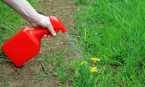 5 Nontoxic Methods for Killing Weeds That Really Work