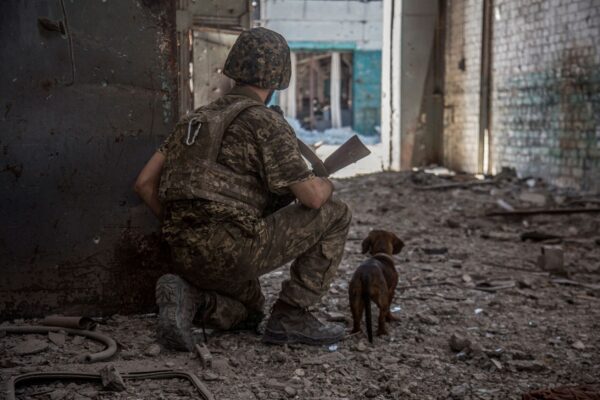 ukraine-in-war