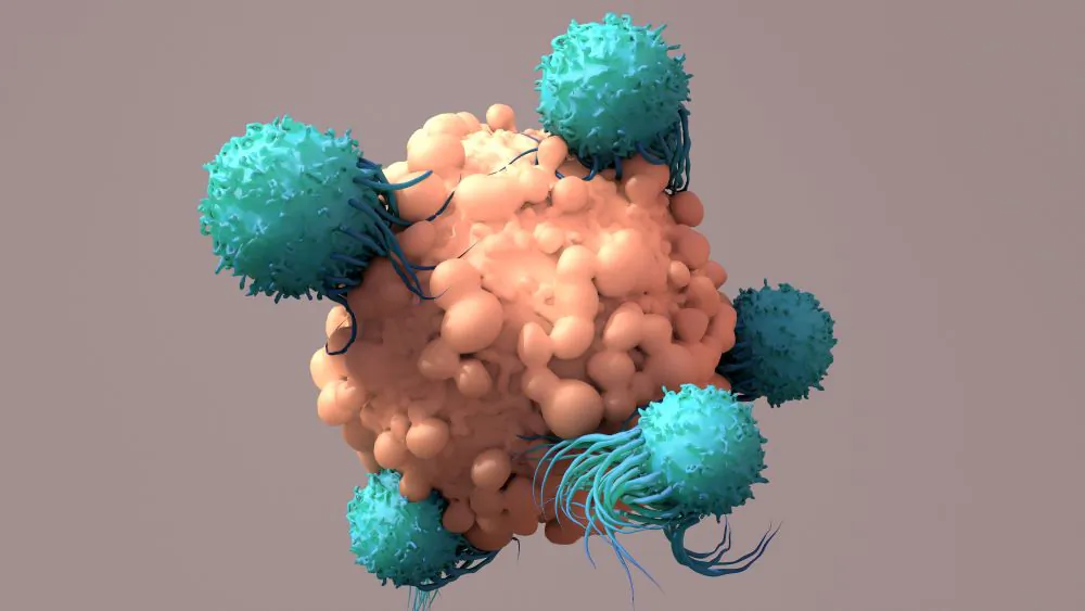 T-Cells Work to Fight Cancer, in CAR T-cell therapy.