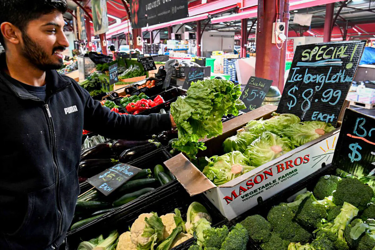 Syed Hyder adjusts a display of iceberg lettuce at a stall in Melbourne, Australia, on June 7, 2022. (William West/AFP via Getty Images)