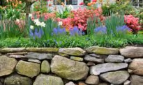 Build a stone wall