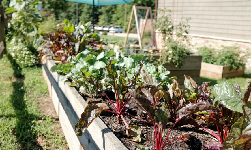 Lifestyle: The Gourmet Landscape: How to Grow a Backyard Garden as Beautiful as It Is Delicious