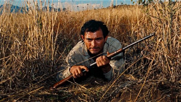 man with rifle hiding in field