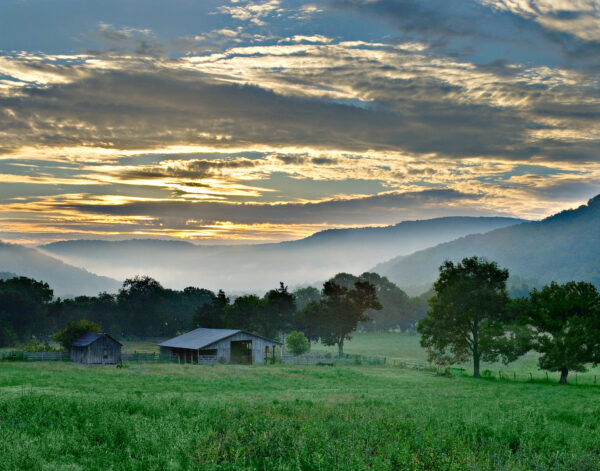 Epoch Times Photo