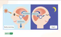 10 Healthy Ways to Flip on the Brain’s ‘Happiness’ Switch