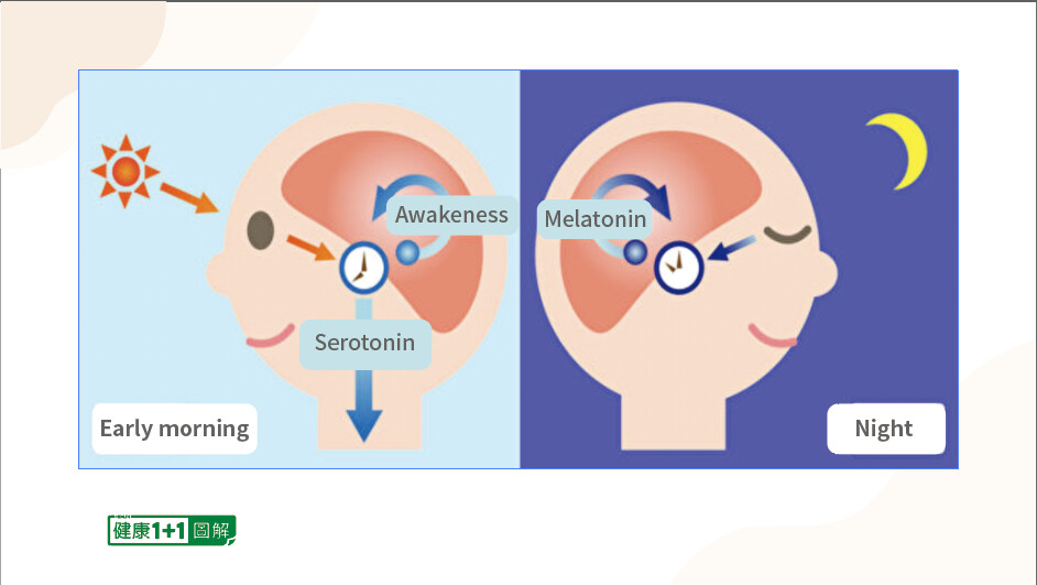 10 Healthy Ways to Flip on the Brain’s ‘Happiness’ Switch