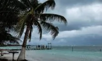 8 Bodies Found, May Be Kidnapped Workers From Mexican Resort