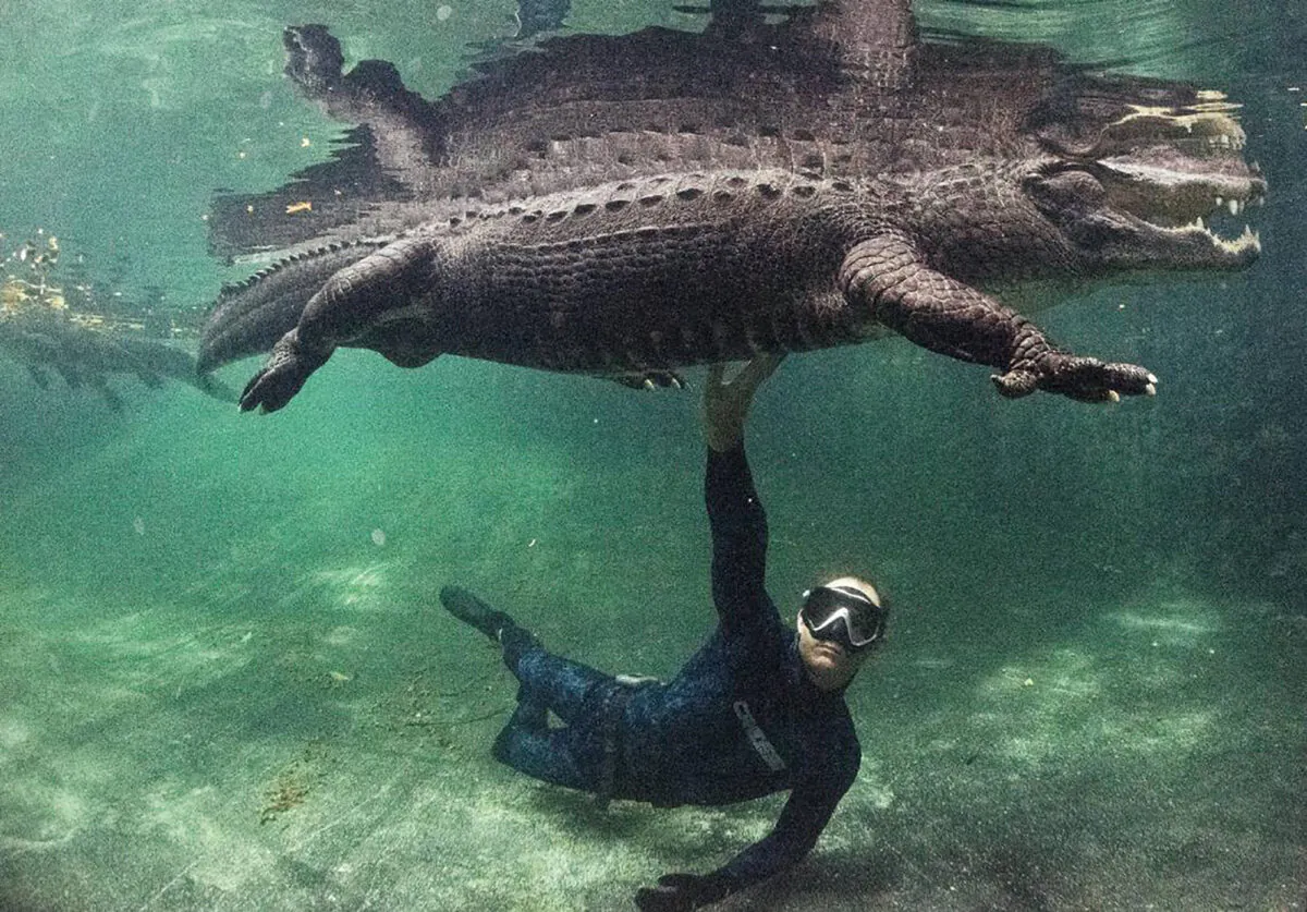 Chris Gillette, wildlife biologist and alligator trainer, poses with Casper after an Underwater Gator Tour at the Everglades Outpost with alligators he has trained inside an enclosure on June 10, 2022, in Homestead, Florida. Gillette rescues wild alligators, so he knows how to handle them if something goes wrong. Gillette rescued Casper and has trained him to listen to certain commands. (Alie Skowronski/Miami Herald/TNS)