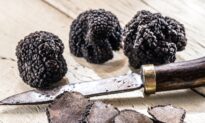 What Are Truffles?