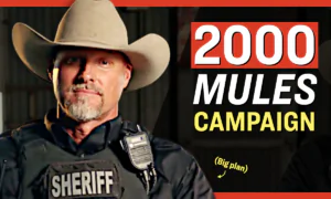 2000 Mules Team Launches New ‘Sheriffs Initiative’: National Hotline for Election Integrity | Facts Matter