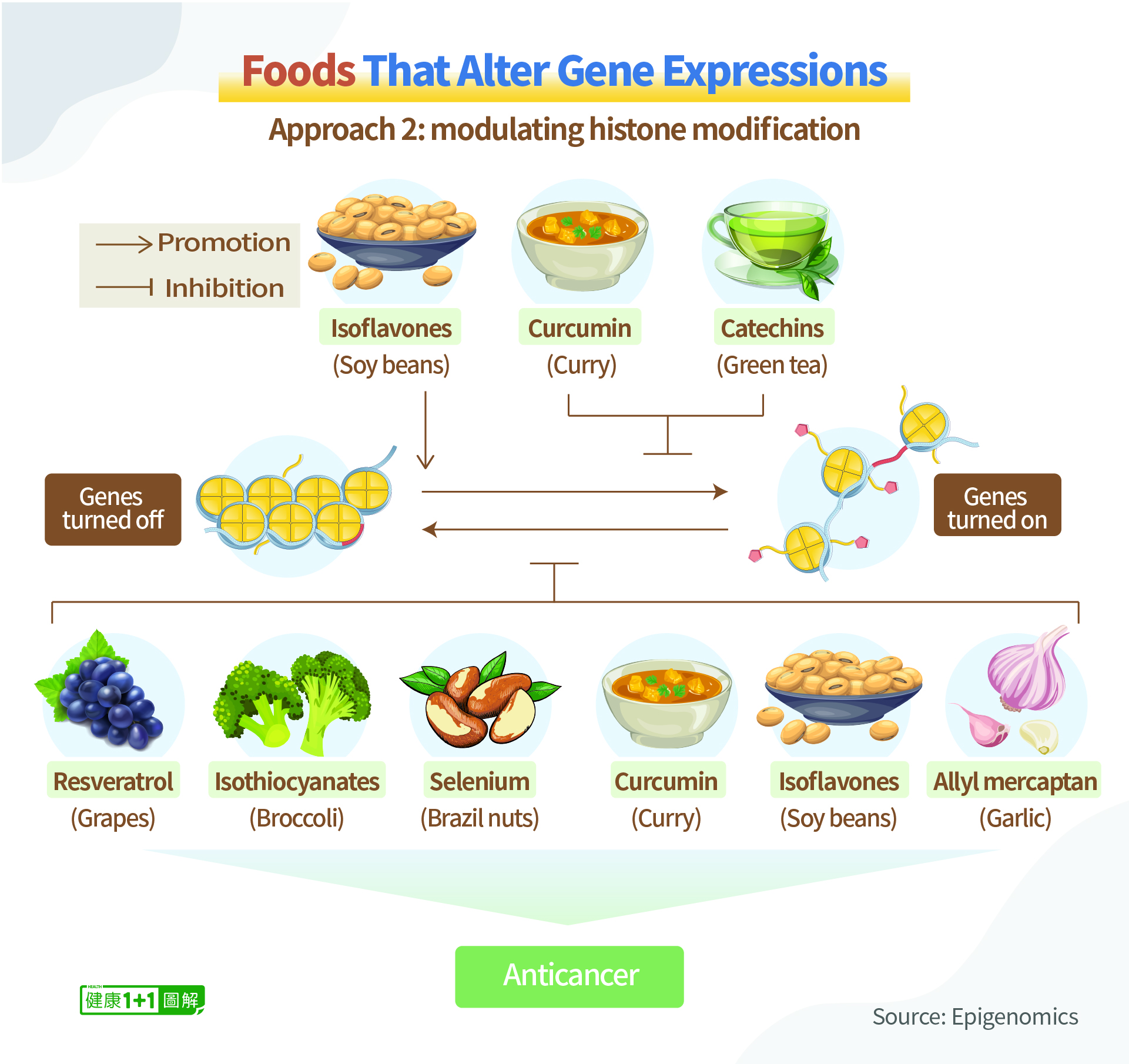 Aliments qui modifient l'expression des gènes