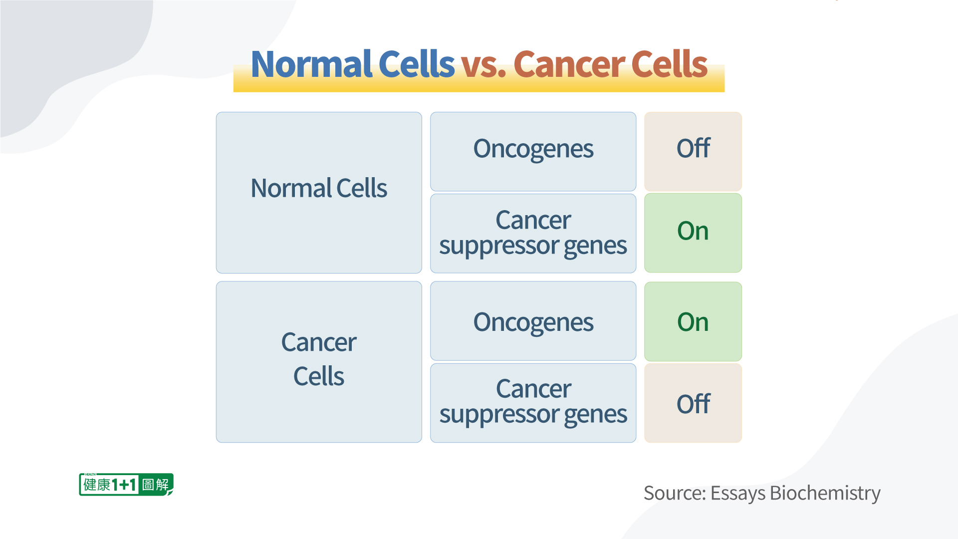 Cellules normales VS cellules cancéreuses