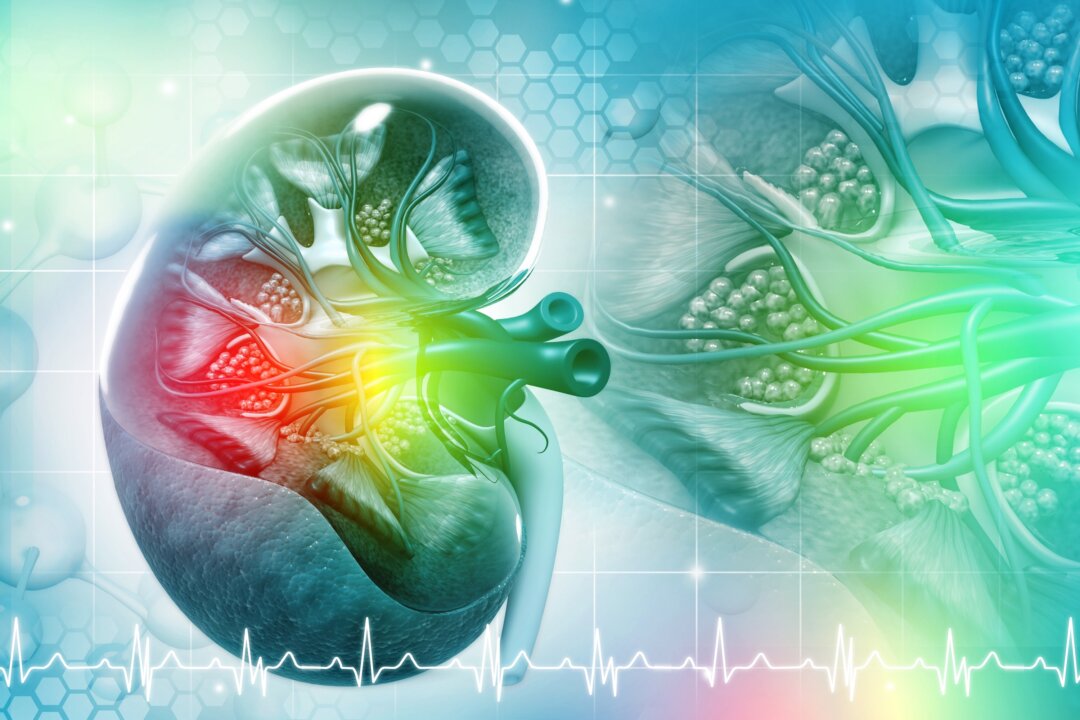 Testing early for poor kidney function in people who are at high risk, such as those with high blood pressure, diabetes, or fatty liver, is recommended.(By crystal light/Shutterstock)