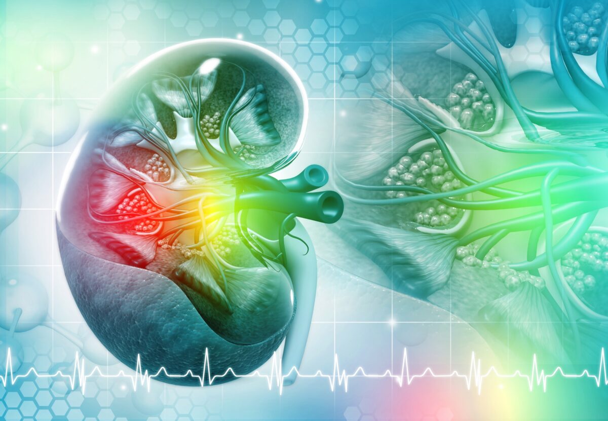 Testing early for poor kidney function in people who are at high risk, such as those with high blood pressure, diabetes, or fatty liver, is recommended.(By crystal light/Shutterstock)