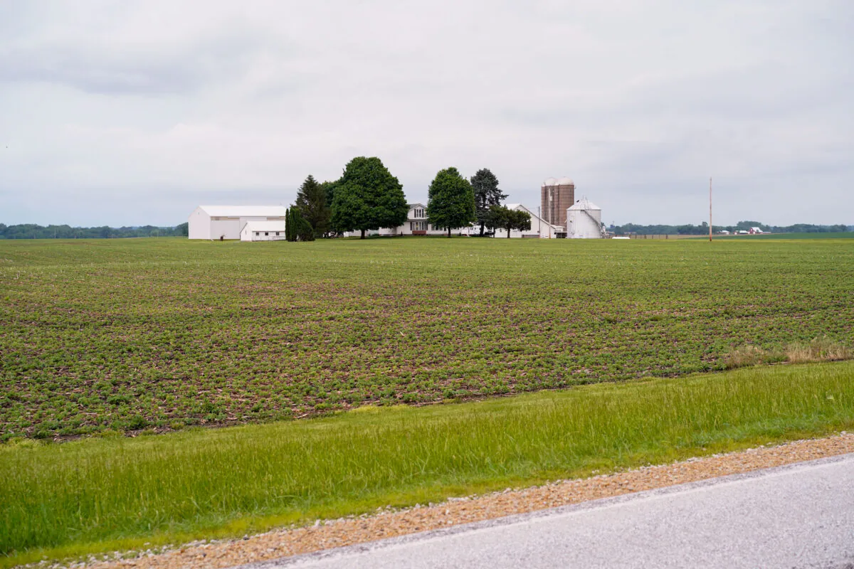A view of farmland just miles east from Coal Valley in western Illinois on June 6, 2022. (Cara Ding/The Epoch Times)
