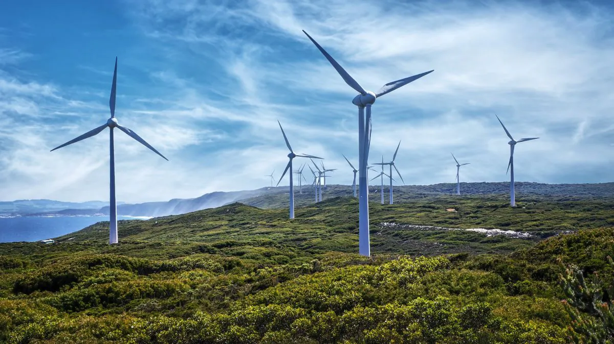 Wind farm in Albany, Western Australia. (magevixen/Adobe Stock)