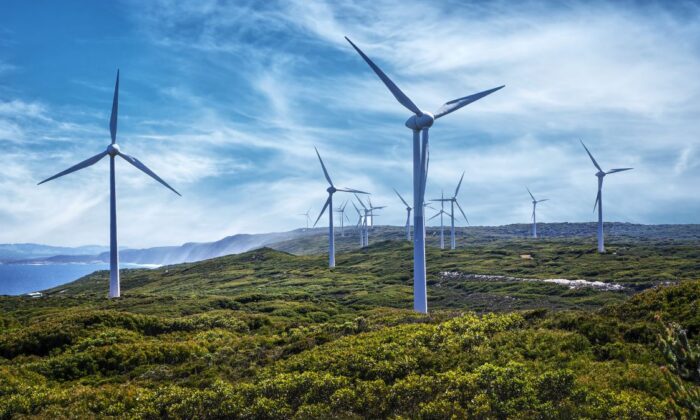 Wind farm in Albany, Western Australia. (magevixen/Adobe Stock)