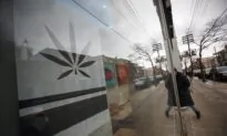 Cannabis Users 22 Percent More Likely to Need Emergency Care, Hospitalization: Study
