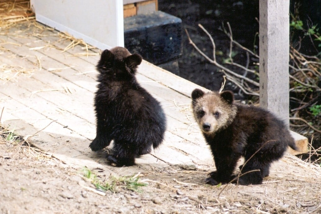 Epoch Times Photo