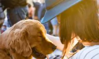 Your Nose Knows: New Science Suggests Scents Matter to Humans as Much as to Dogs