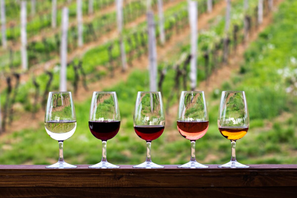 Learned wine knowledge is a shifting target. (Julia Lototskaya/Shutterstock)