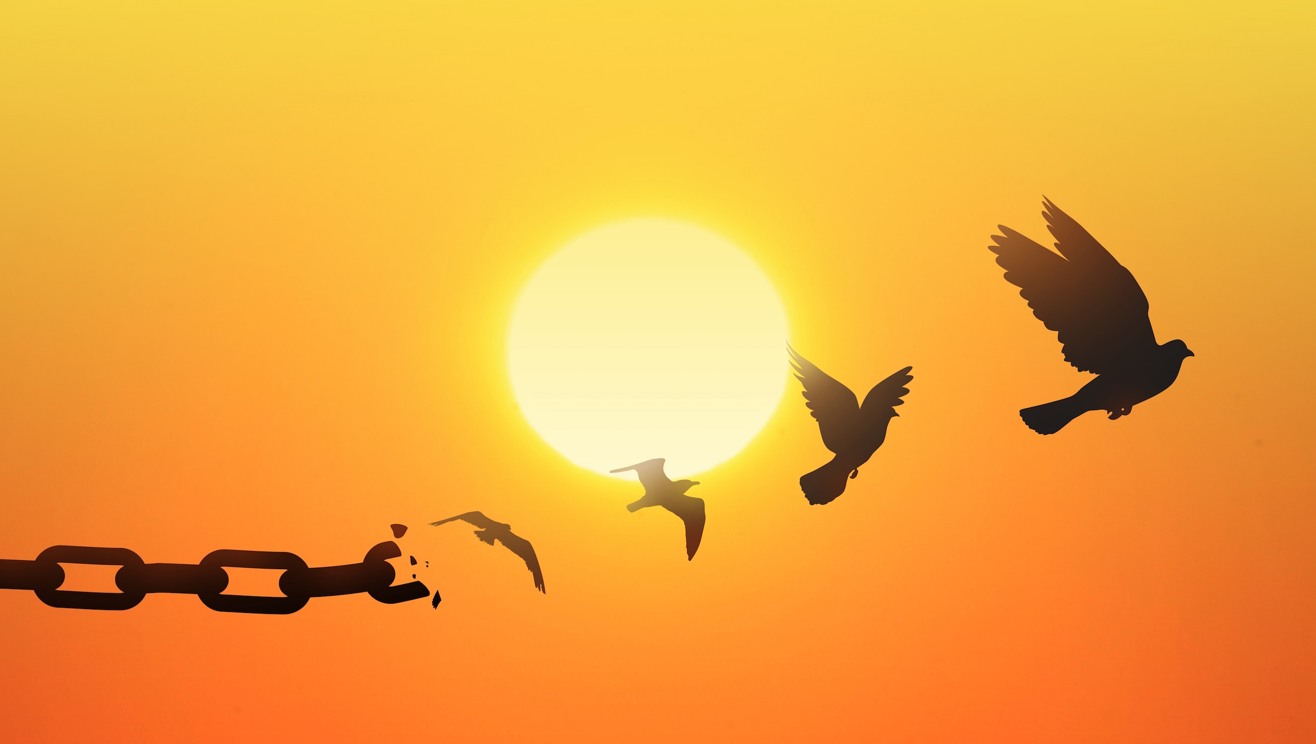 The Only Choice Left: Slavery or Freedom - Vimarsana News