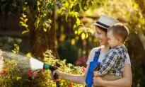 4 Recipes for Homemade DIY Lawn and Garden Fertilizer