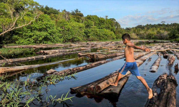 A boy jumps over logs seized by the Amazon Military Police at the Manacapuru River in Manacupuru, Amazonas State, Brazil, on July 16, 2020. (Ricardo Oliveira/AFP via Getty Images)